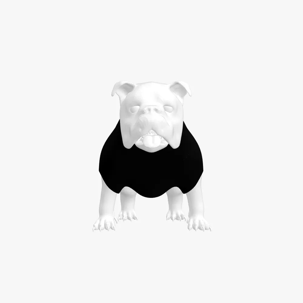 Cashmere Dog Sweater