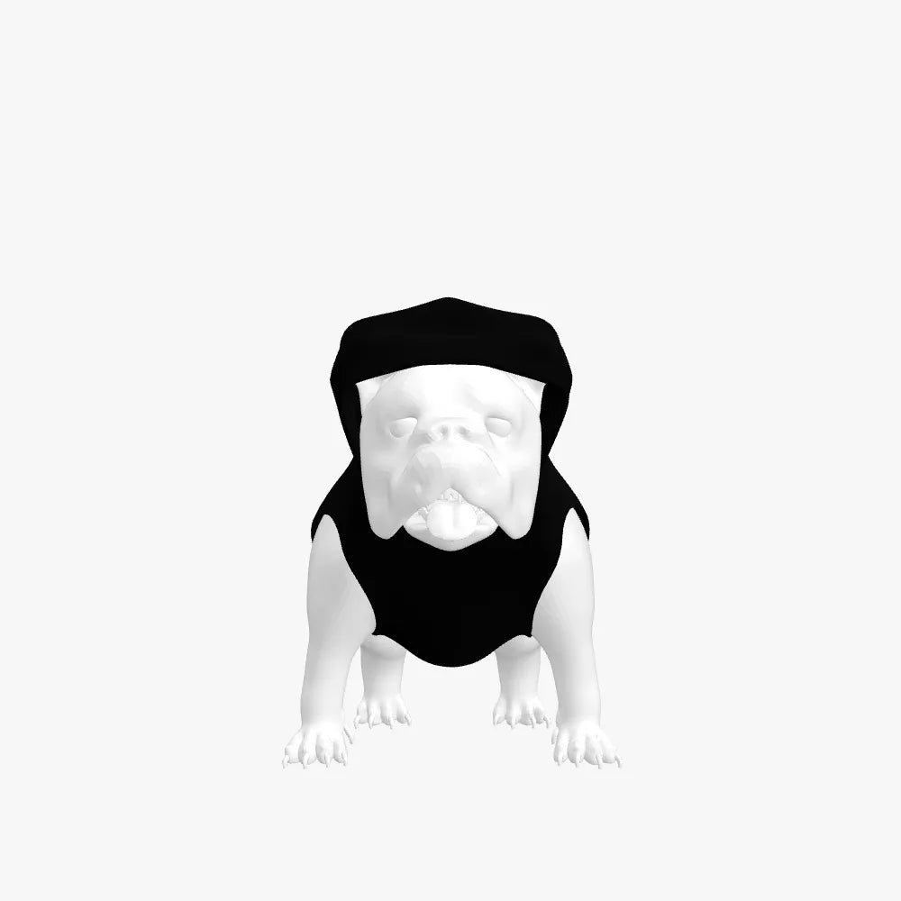 Cashmere Dog Hoodie