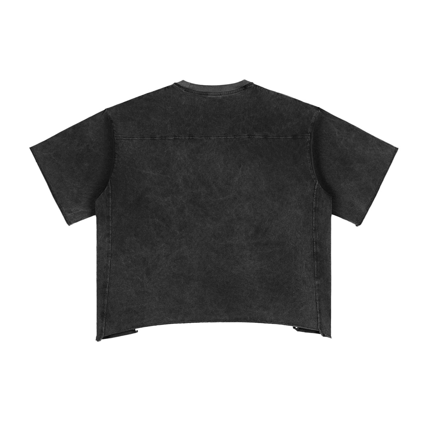 Snow Washed T